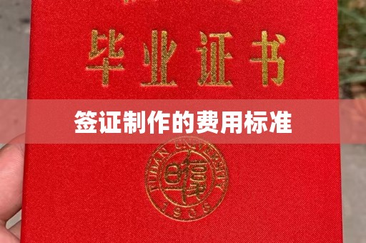 洪梅签证制作的费用标准